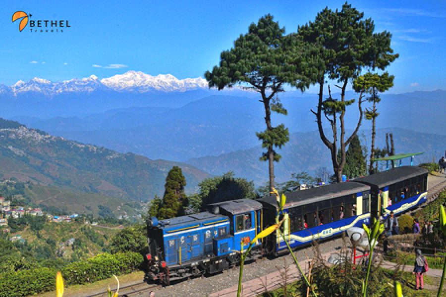 Darjeeling Tour