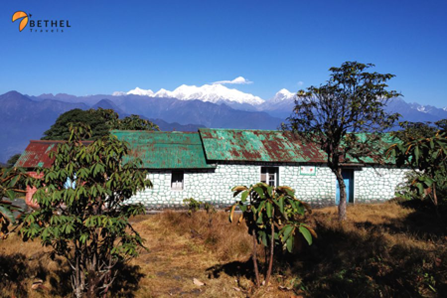 Varsey – Phalut Trek