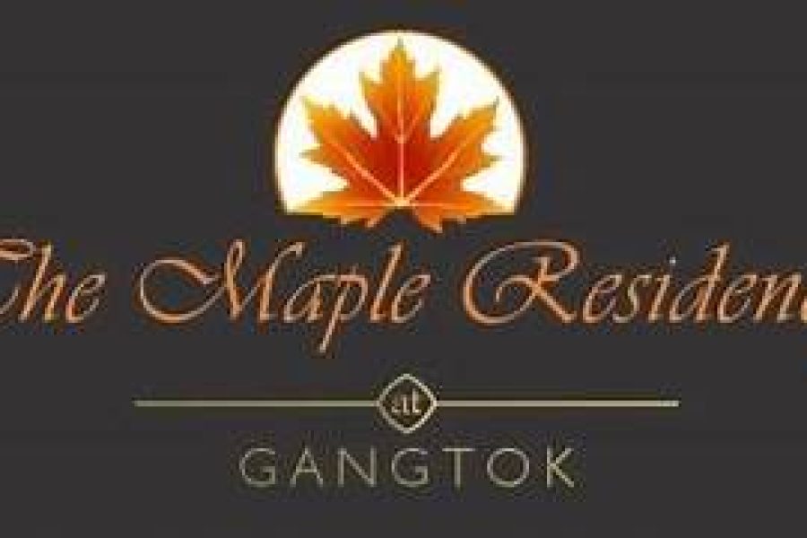 Daizzo Maple